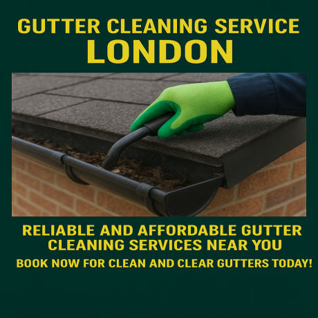 Why Clean Gutters Protect Your Home