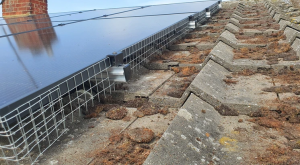 Types of Bird-Proofing Solar Panels Essex